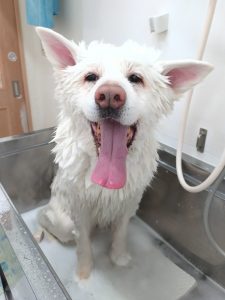 20260224_110447_copy_2136x2848