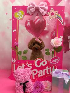 20260224_160538_copy_980x1308~2_copy_1960x2616