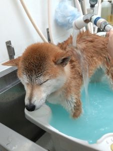 20260226_090059_copy_2020x2694