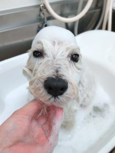 20260226_104547_copy_2700x3600_1