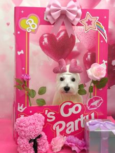 20260226_123152~2_copy_1858x2478