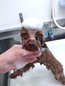 20260226_133214_copy_2703x3603