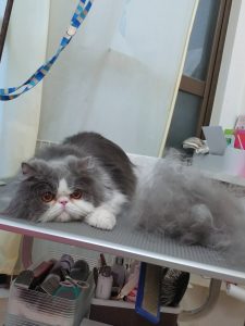 20260226_162858_copy_2587x3450_1