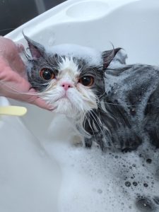 20260226_164643_copy_2848x3798_1