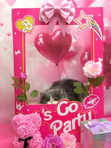 20260226_175524~2_copy_1940x2588