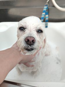 20260227_093006_copy_2617x3489_1