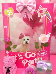 20260227_114438~2_copy_1940x2588