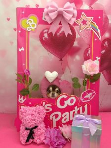 20260227_124713_copy_951x1268~2_copy_1832x2442