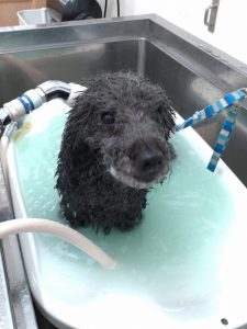 20260227_141047~2_copy_1986x2650