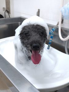 20260227_142012_copy_2042x2722