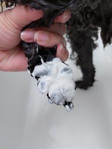 20260227_143420_copy_2723x3630