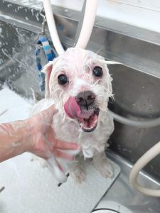 20260228_094125_copy_2428x3237