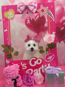 20260228_115244~2_copy_1716x2288