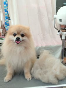 20260228_123214_copy_2086x2781