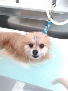 20260228_125444_copy_2006x2674