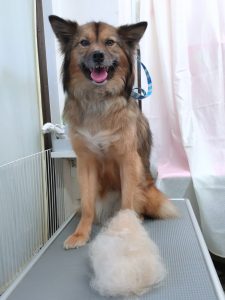 20260228_154953_copy_2400x3200_1