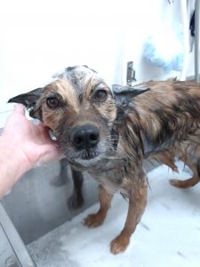 20260228_160008_copy_3299x4399