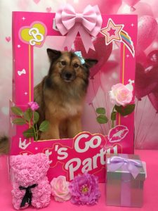 20260228_164513~2_copy_1884x2514