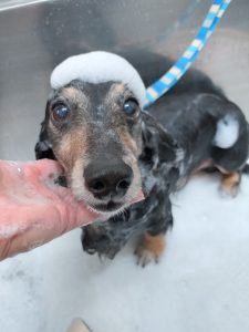 20260228_171048_copy_2700x3600_1