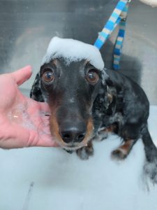 20260228_180149_copy_2613x3483