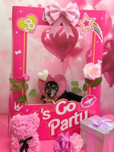 20260228_185935~2_copy_1860x2480