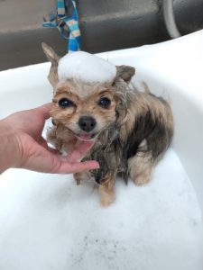 20260302_100337_copy_2668x3558