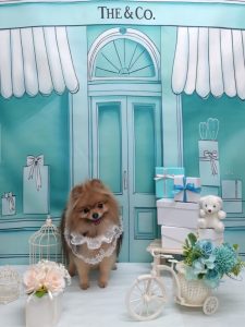 20260302_110244~2_copy_1852x2472