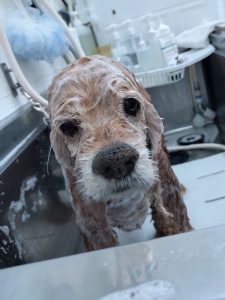 20260302_115951_copy_2515x3353_1