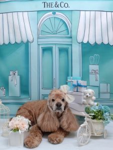 20260302_132418~2_copy_1812x2418