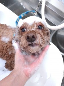 20260302_142751_copy_2932x3910