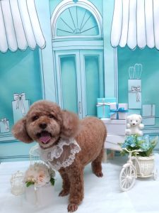 20260302_164608~2_copy_1908x2544