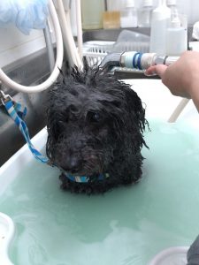 20260302_171801_copy_1944x2592