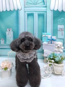 20260302_190219~2_copy_1692x2258