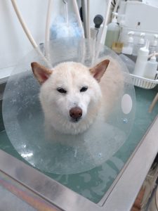 20260303_100742_copy_2160x2880