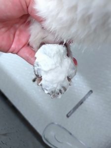 20260303_101450_copy_2400x3200_1