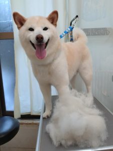 20260303_111928_copy_2438x3251