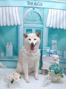 20260303_112235(1)_copy_1974x2632