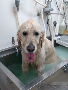 20260303_121426_copy_2040x2722