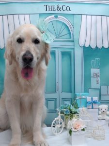 20260303_132959~2_copy_1582x2110