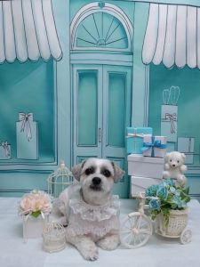 20260303_155616_copy_1952x2602