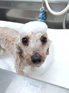 20260303_174326_copy_2908x3878