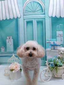 20260303_190913_copy_1798x2396