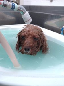 20260305_104552_copy_1944x2592