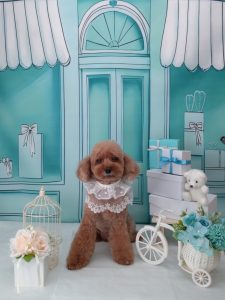 20260305_125224_copy_1850x2468