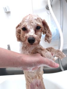 20260305_134944_copy_2903x3870