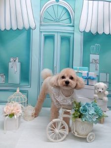 20260305_153936~2_copy_2062x2750