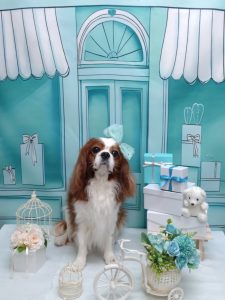 20260305_173951~2_copy_1942x2592