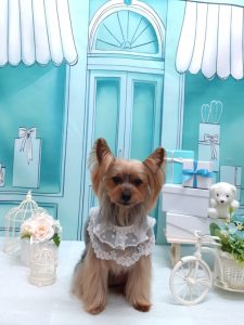 20260305_191052_copy_1876x2502