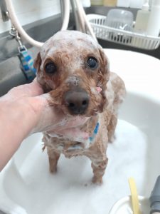 20260306_090209_copy_2511x3348