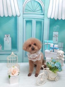 20260306_113839(1)_copy_1966x2620